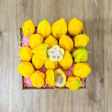Mountain Papaya Papayas Tropical Fruit Box